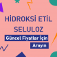 HİDROKSİ ETİL SELULOZ